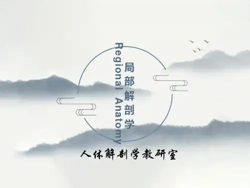 局部解剖学头部课件