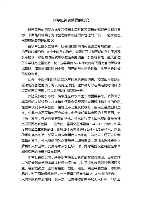 水草缸饲养管理的知识
