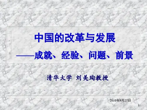 清华教授刘美珣--成就、经验、问题、前景