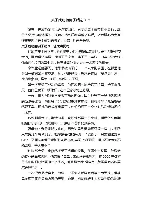 关于成功的例子精选3个