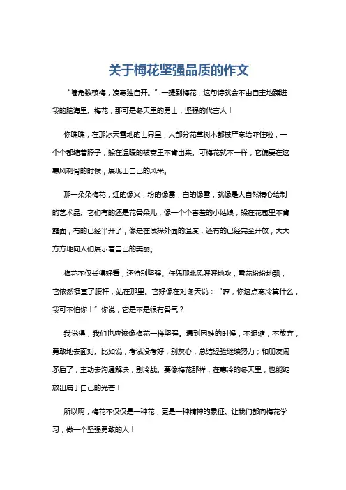 关于梅花坚强品质的作文