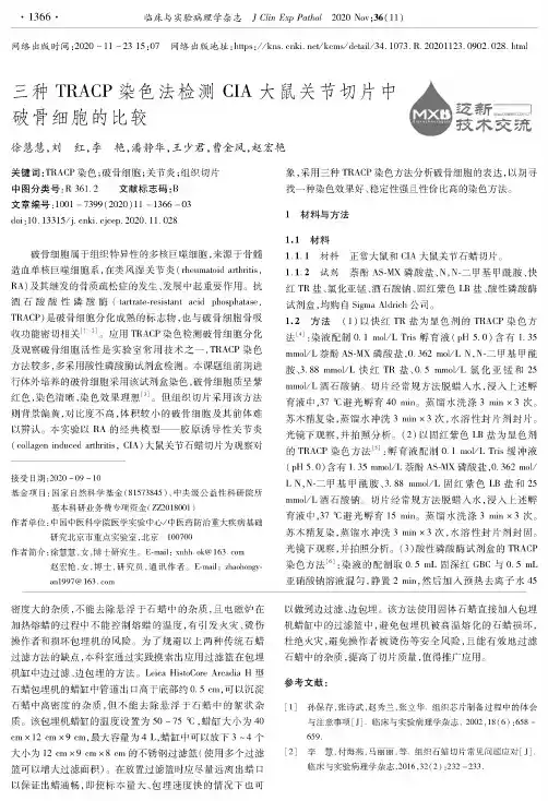 三种TRACP染色法检测CIA大鼠关节切片中破骨细胞的比较