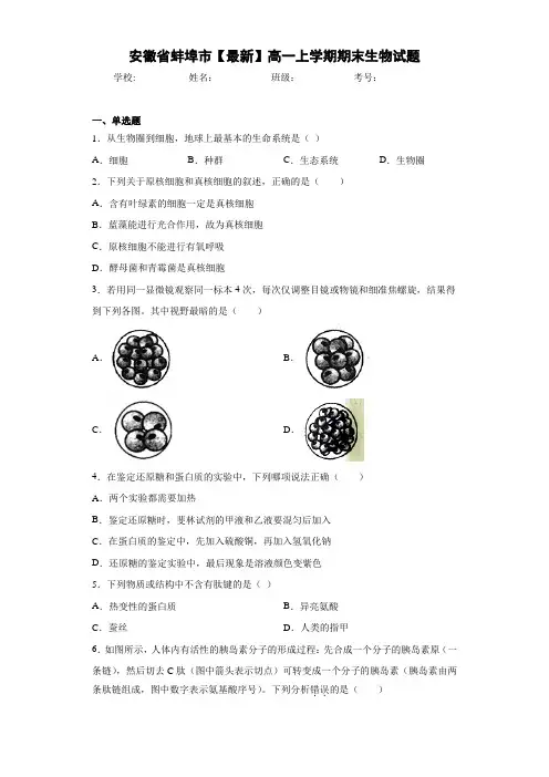 安徽省蚌埠市高一上学期期末生物试题