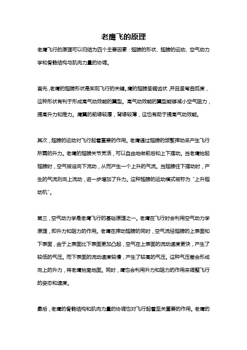老鹰飞的原理