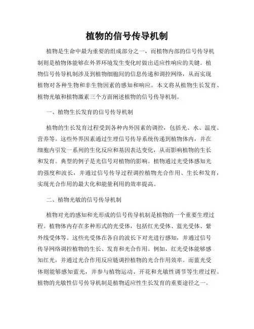 植物的信号传导机制