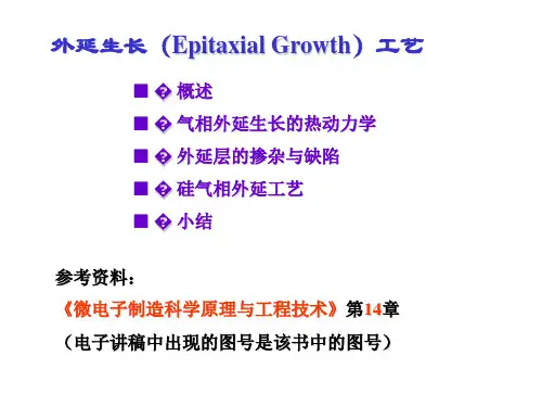 第六章外延生长ppt课件