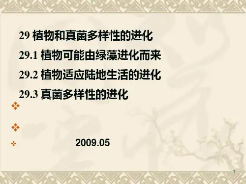 29 植物多样性的进化PPT课件