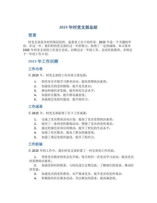 2023年村党支部总结