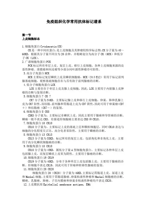 病理科免疫组化常用抗体