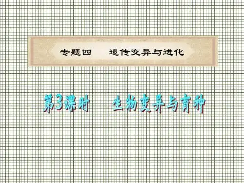 福建省2012届高考生物二轮专题总复习课件专题4第3课时生物变异与育种