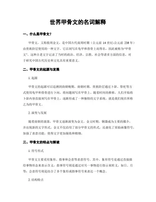 世界甲骨文的名词解释