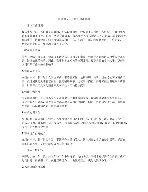综合部个人工作计划和总结