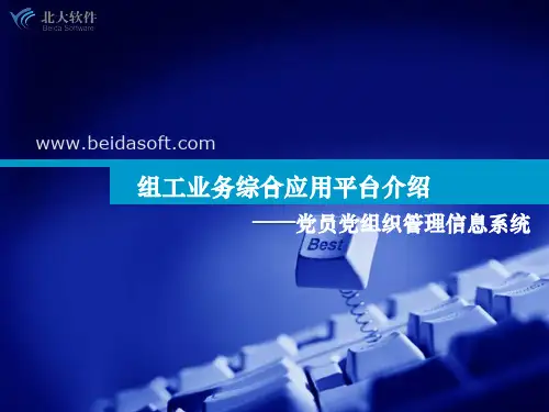 党员党组织管理信息系统