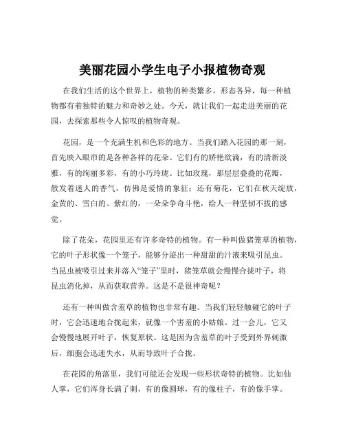 美丽花园小学生电子小报植物奇观
