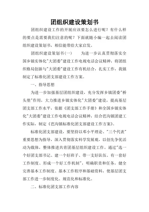 团组织建设策划书