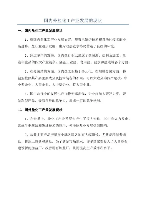 国内外盐化工产业发展的现状