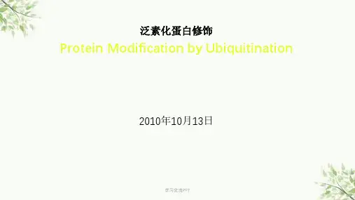 泛素化蛋白修饰课件