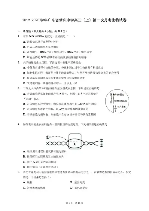 2019-2020学年广东省肇庆中学高三(上)第一次月考生物试卷 (含答案解析)