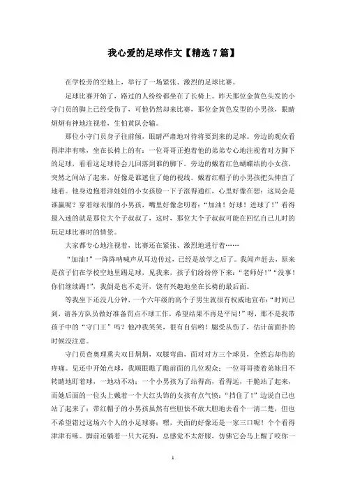 精选我心爱的足球作文【7篇】