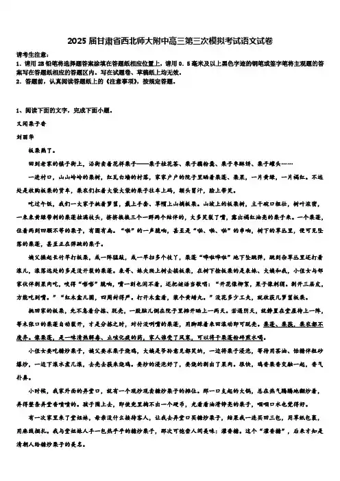 2025届甘肃省西北师大附中高三第三次模拟考试语文试卷含解析