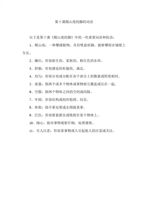 第十课爬山虎的脚的词语