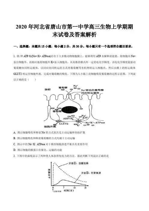 2020年河北省唐山市第一中学高三生物上学期期末试卷及答案解析
