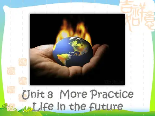 2020年牛津深圳版八年级英语下册Unit8 More Practice精品课件