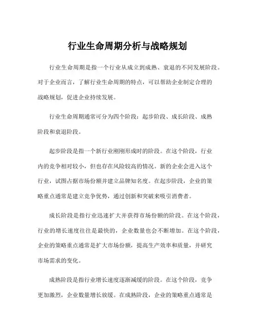 行业生命周期分析与战略规划