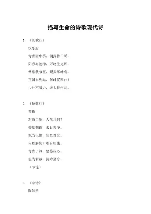 描写生命的诗歌现代诗