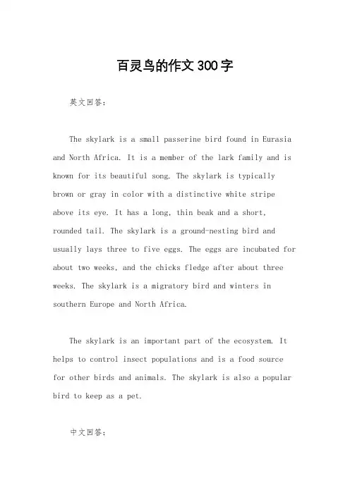 百灵鸟的作文300字