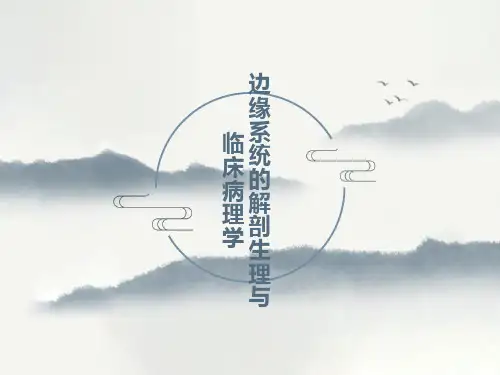 边缘系统的解剖与临床