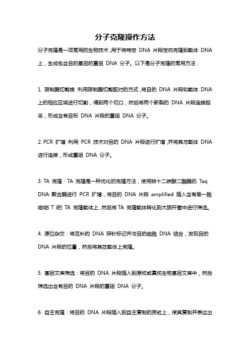 分子克隆操作方法