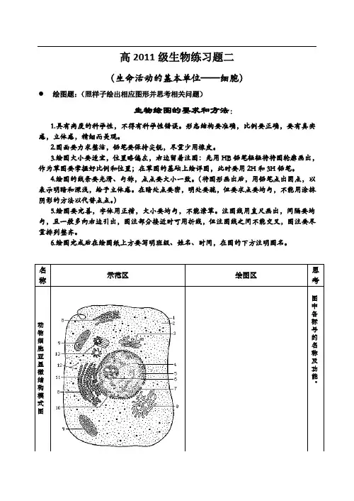 高中生物绘图题