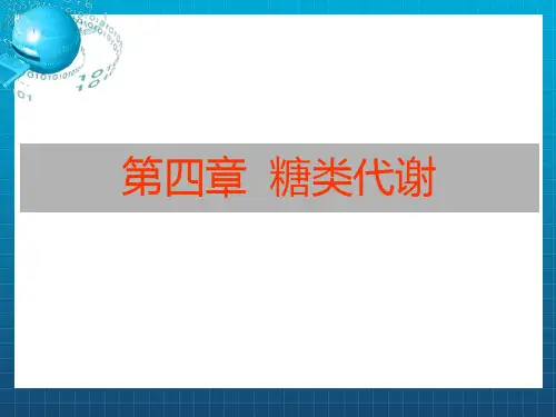 动物生化四章糖类代谢