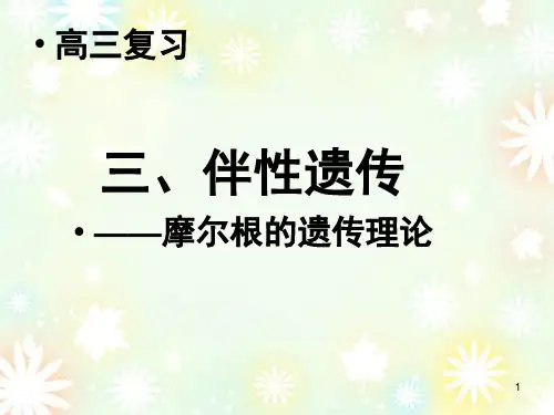 伴性遗传复习 PPT课件