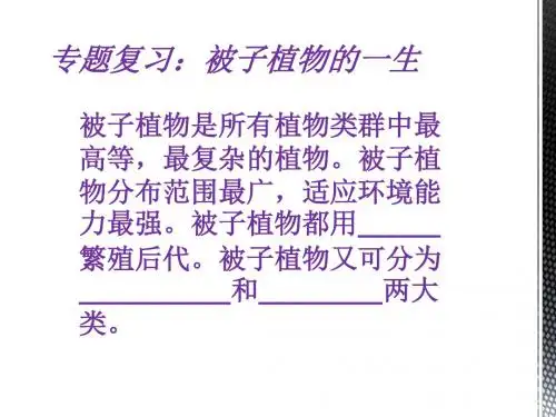 复习被子植物2