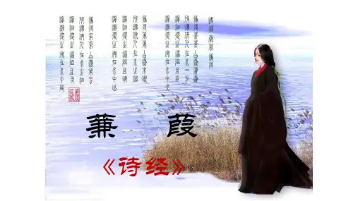 部编版语文八年级下册第12课《诗经二首——蒹葭》课件(共19张PPT)