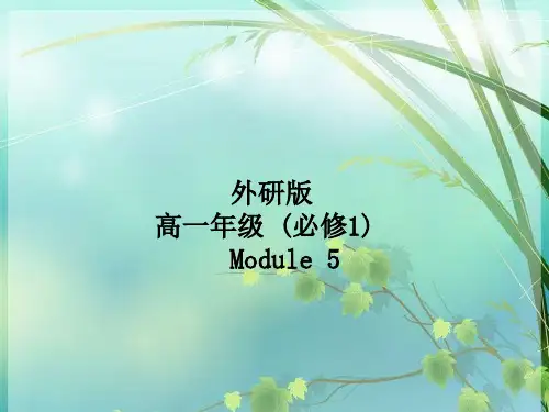 高中英语数字学习 PPT课件 图文