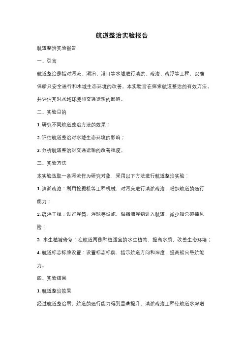 航道整治实验报告