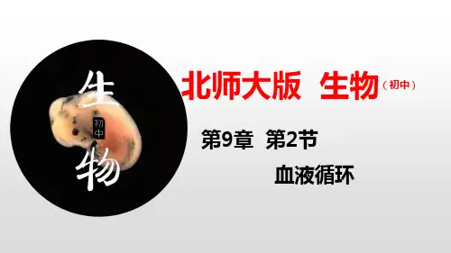 (北师大版)七年级下册生物教学课件：9.2 血液循环