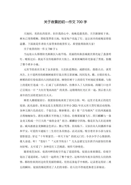 关于夜景的初一作文700字