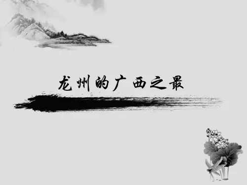 龙州广西之最