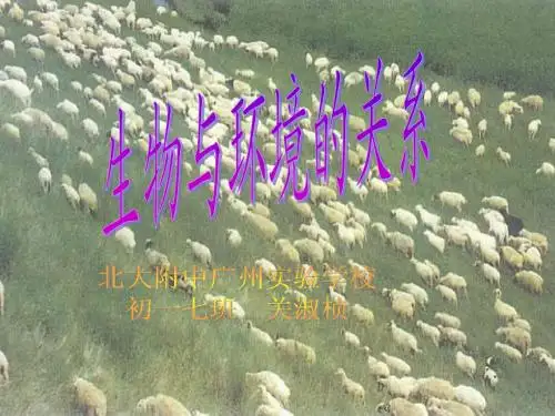 生物与环境的关系