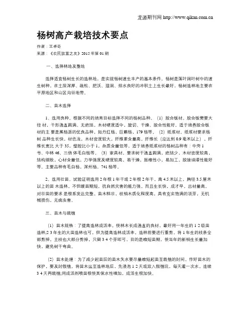 杨树高产栽培技术要点