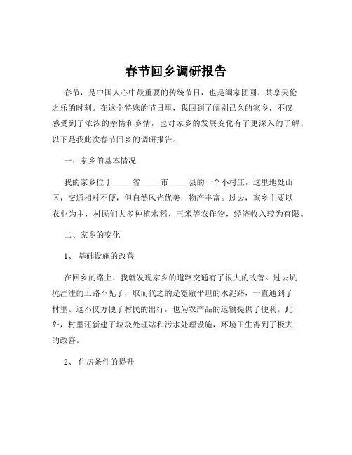 春节回乡调研报告