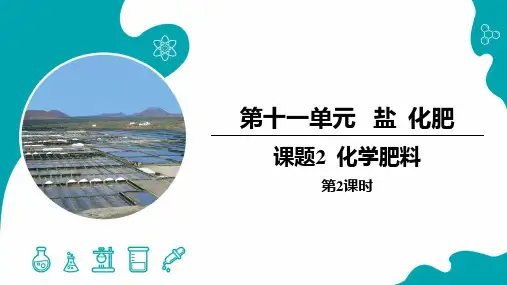 化学肥料(2)九年级化学下册(人教版)