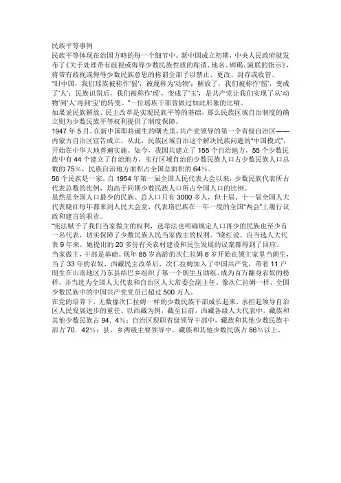 民族平等事例