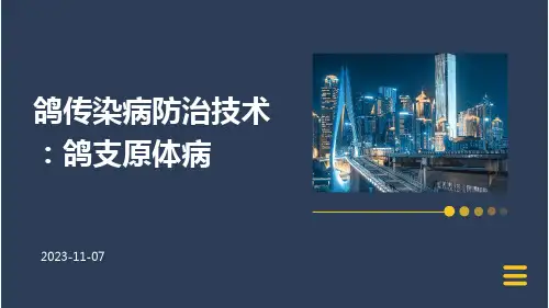 鸽传染病防治技术：鸽支原体病