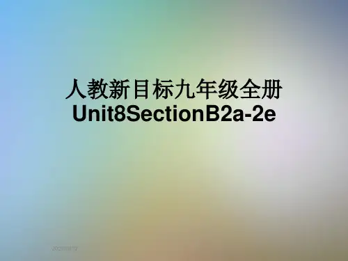 人教新目标九年级全册Unit8SectionB2a-2e