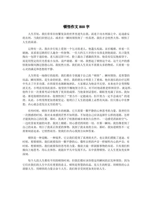 顿悟作文800字